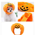 Pumpkin Pet Hat