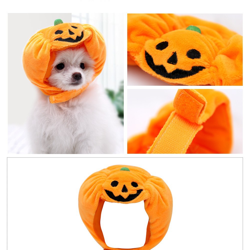 Pumpkin Pet Hat