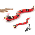 Smart Sensing Snake Toy